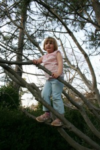 Tills climbing the figs.