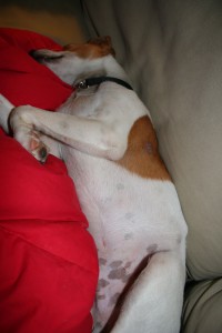 The Sleeper