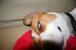 img_7838