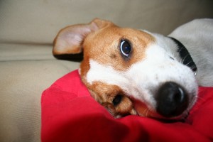 img_7839