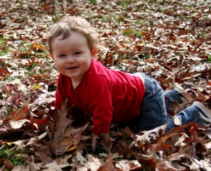 Leaf Crawling