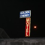 Golden Cherry.