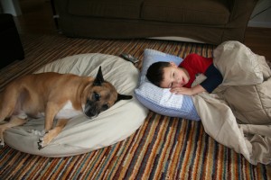 Sleepers Christmas Eve, Rollie came down with quite an ear infection. Quint took good care of him.