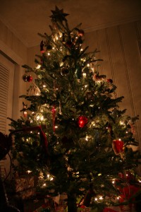 Tree Light I love a Christmas tree in the dark.