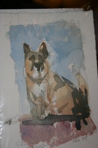 My dog Quint in a watercolor by Iain Stewart.