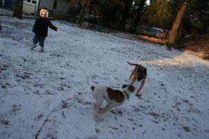 More frolic.