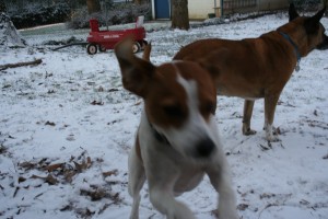Possibly getting a little too action shot for me and my camera.