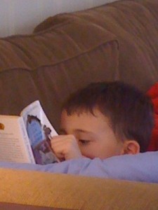 Rollie Reading The Lion, the Witch, and the Wardrobe