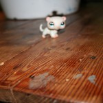 Littlest Pet Shop, By Tiller.