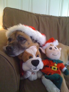 My Elf