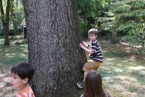 The girls listen to clues intently. Boys mostly push each other and climb trees while they are being read. 
