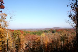 Thankful that I rarely forget to take in the view.