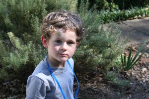 My sweet, tissue-paper pasty skinned, freckled nephew. I want to eat him up. 