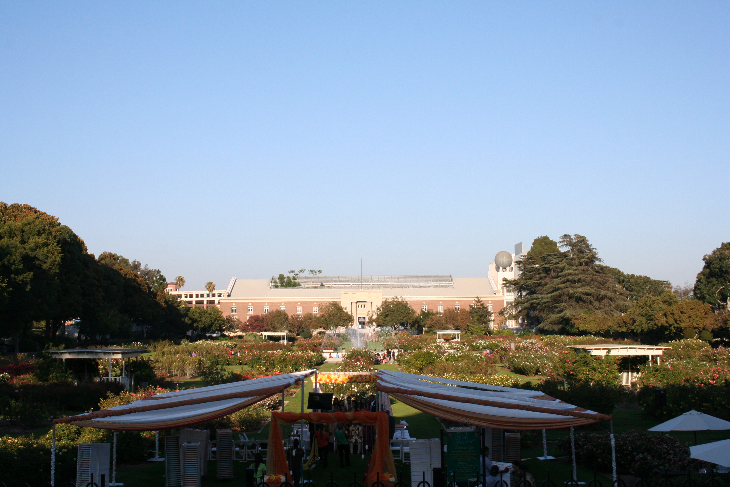 So, i didn't realize while sitting during the ceremony, but todd pointed out to me after, from the steps of the Natural History museum, that the rose garden the ceremony was in is "The Jeffersonian" from Bones.